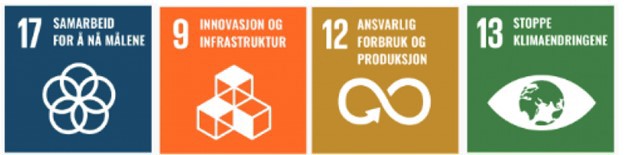 illustrasjon, fire definerte mål i kvadrater med symboler fra FNs bærekraftsmål