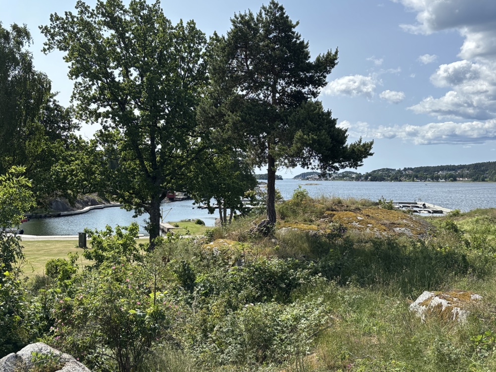 sea and treees and blu sky, the view