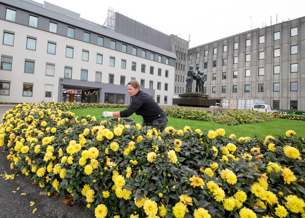 womn sitting on the grass tending to the flowers around in the roundabout.