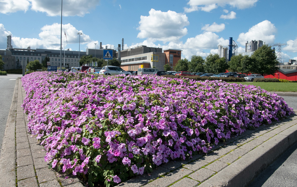 lilla blomsterbed i en rundkjøring foran industripark